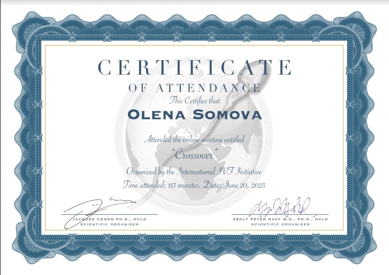 Certificado de participación en el curso Certificado de participación en el curso