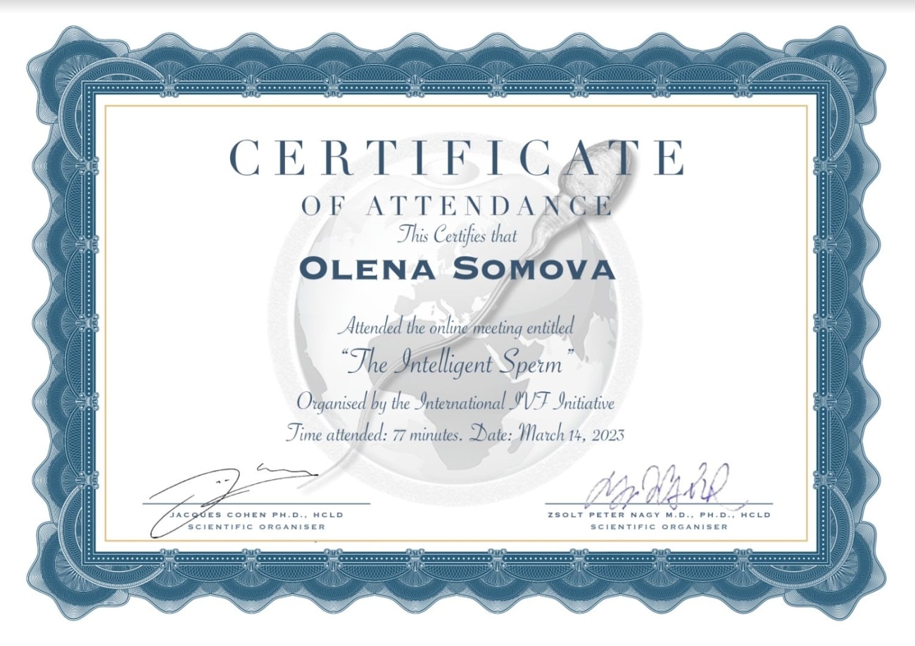 Certificado de participación en el curso Certificado de participación en el curso