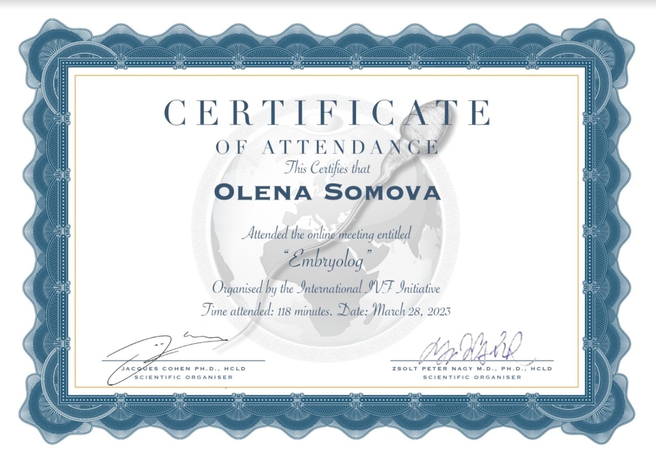 Certificado de participación en el curso Certificado de participación en el curso