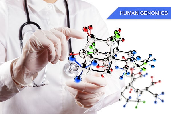 human genomic human genomic