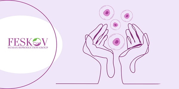 Beneficios de la donación de óvulos Beneficios de la donación de óvulos
