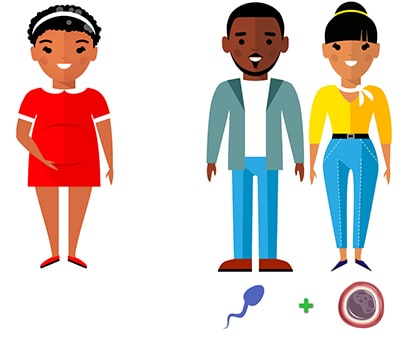 Gestación subrogada gestacional Gestación subrogada gestacional